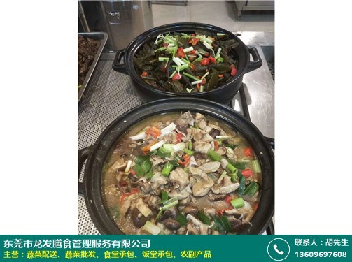 茶山中学食堂承包资质工厂***_龙发膳食